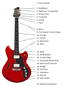 Parts of the Guitar? ALL Anatomy Explained | ULTIMATE GUIDE